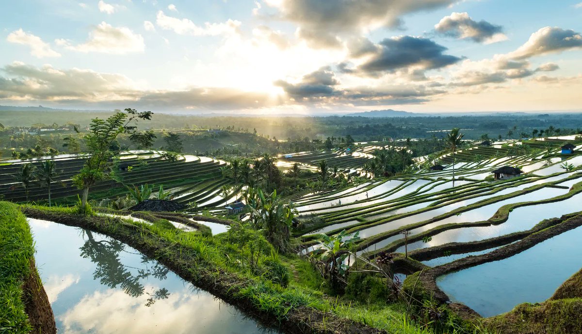 #Freelance ou salarié dans une start-up 100 % télétravail ? Voyagez tout en travaillant ! 👩‍💻
Découvrez nos 5 bonnes raisons de partir travailler à #Bali et vivez une expérience de #digitalnomad vraiment marquante ! 🌴
buff.ly/3IPS6FY