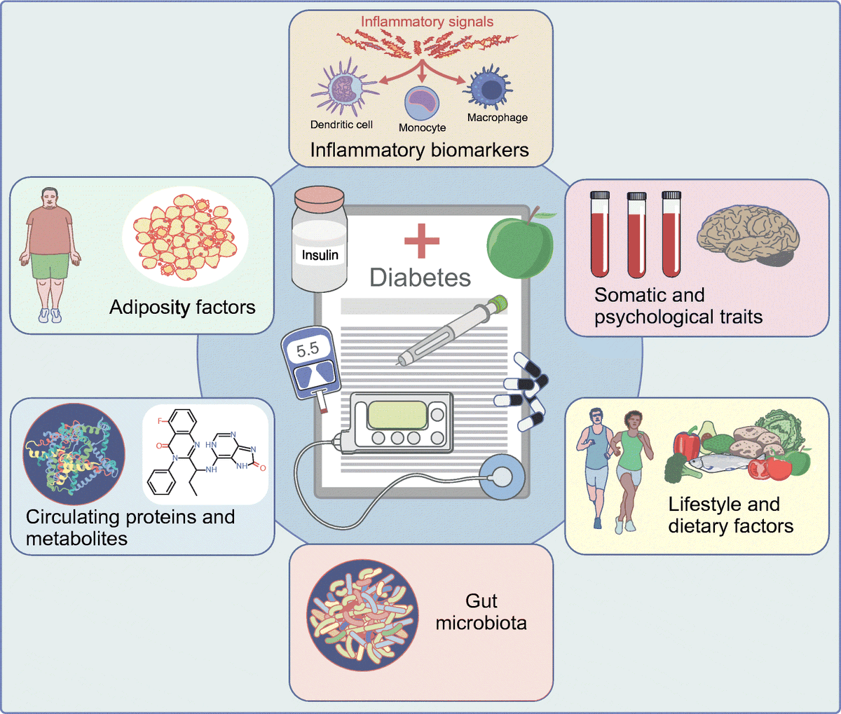 What are the causal factors for type 1 and 2 diabetes? Evidence informed by Mendelian randomisation analysis. More thoughts on future opportunities and challenges in the field. <a href="/Yuan_AS/">Shuai Yuan 袁帅</a> <a href="/Riudecanyenc/">Jordi Merino</a> <a href="/LarssonSC/">Susanna Larsson</a> <a href="/karolinskainst/">Karolinska Institutet</a> bit.ly/3YLcZHW  🔓 #TopTweetTuesday