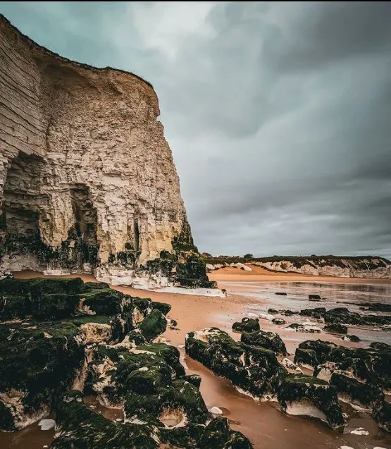 B O T A N Y
One from Botany Bay out of the archives
Hope you all have a great weekend
#picoftheday #ukscenery
