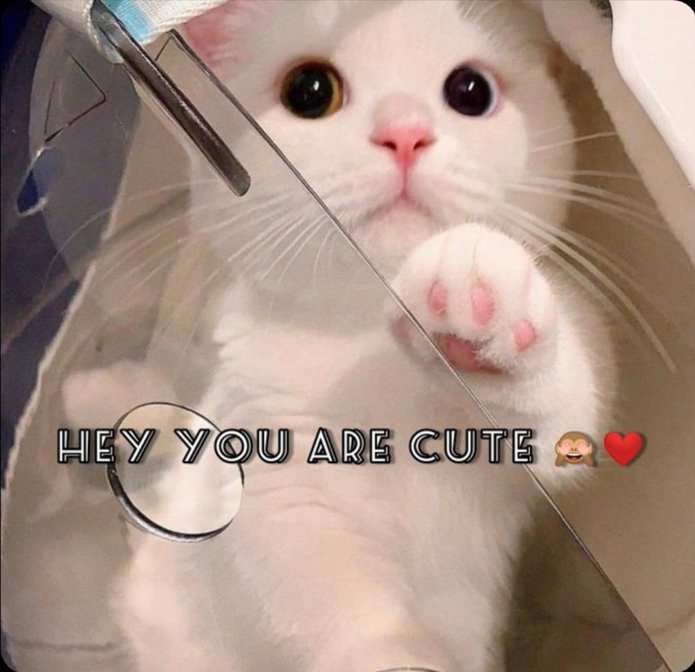 Saqib Sethi tweet media