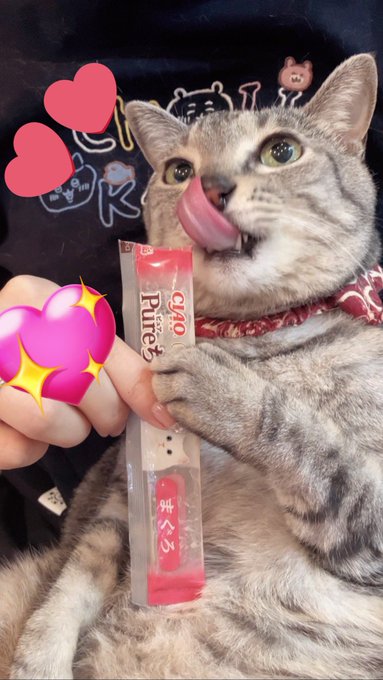 ã¡ã
ãããããããšããã€ãäžç·ã«æã£ãŠãããã¯ã«ã¡ããð¥°
#ãã³ã®æ