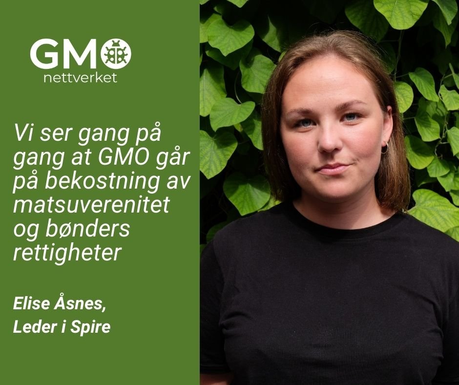 GMO-nettverket (@gmonettverket) on Twitter photo 👉Vi presenterer våre medlemmer: <a href="/Spireorg/">Spire</a>
I dag har private selskaper og store internasjonale bedrifter makten over matsystemet. Dette er også tilfellet med utvikling av genteknologi.
🌍Vi trenger et matsystem som setter mat, mennesker og miljø i sentrum. 
 #gmonettverket 👉Vi presenterer våre medlemmer: <a href="/Spireorg/">Spire</a>
I dag har private selskaper og store internasjonale bedrifter makten over matsystemet. Dette er også tilfellet med utvikling av genteknologi.
🌍Vi trenger et matsystem som setter mat, mennesker og miljø i sentrum. 
 #gmonettverket