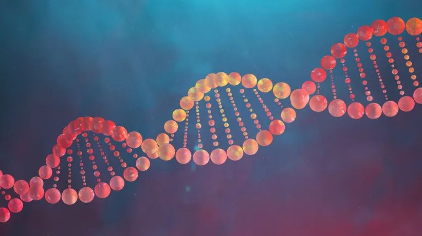 Institute for Advanced Chemistry of Catalonia (@iqac_csic) on Twitter photo 𧬠The Nucleic Acid Chemistry group participates in <a href="/oligofastx/">OLIGOFASTX</a> and #OSTEOATX projects developing new RNA/DNA drugs to treat #RareDiseases such as myotonic dystrophy.
#RareDiseaseDay #RareDiseaseDay2023 #LightUpForRare 𧬠The Nucleic Acid Chemistry group participates in <a href="/oligofastx/">OLIGOFASTX</a> and #OSTEOATX projects developing new RNA/DNA drugs to treat #RareDiseases such as myotonic dystrophy.
#RareDiseaseDay #RareDiseaseDay2023 #LightUpForRare