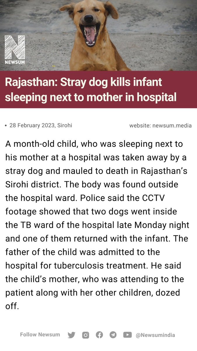 Newsum on Twitter "Rajasthan Stray dog kills infant sleeping next to