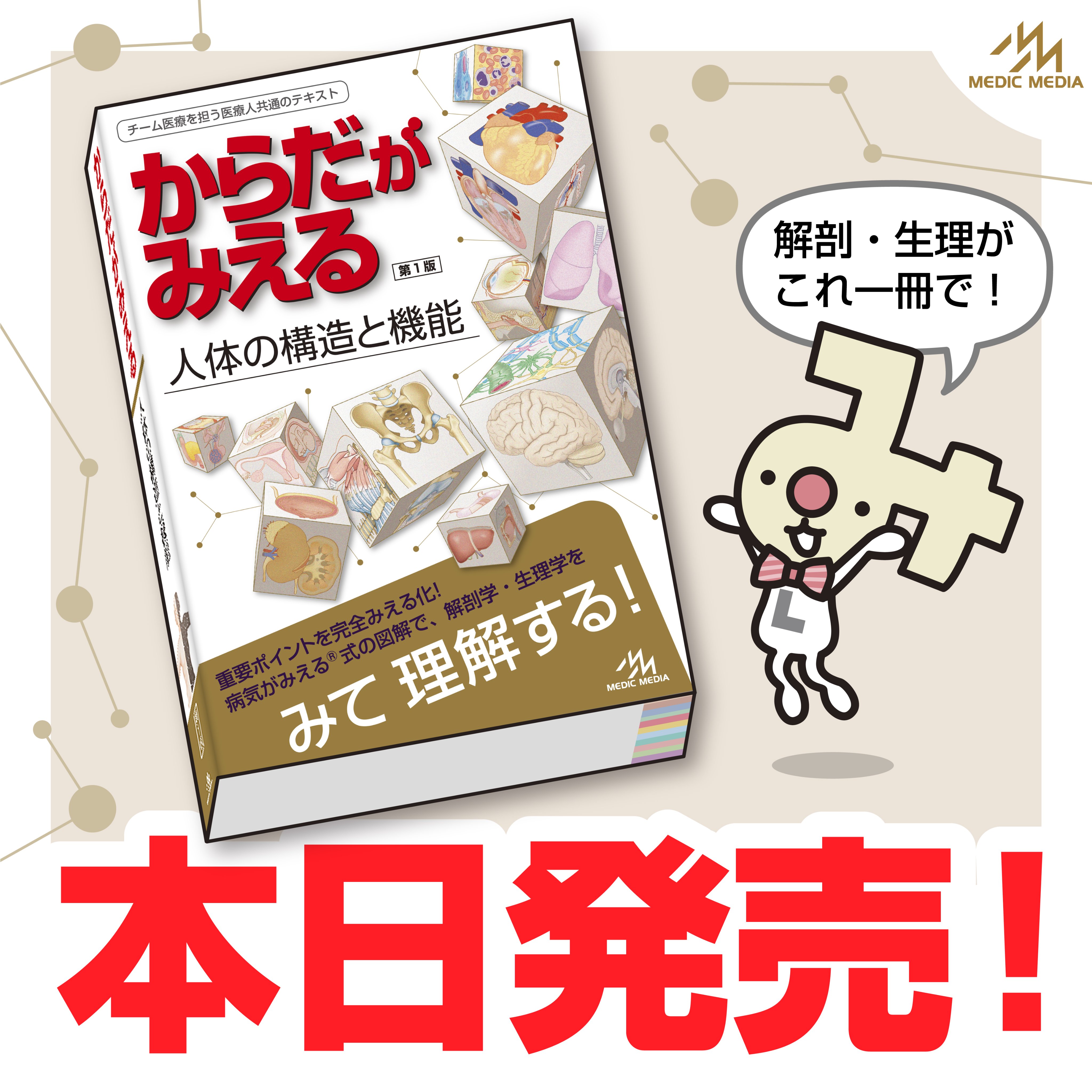 まとめ売り❤︎ 病気がみえる(1〜11巻) からだがみえる 計12冊