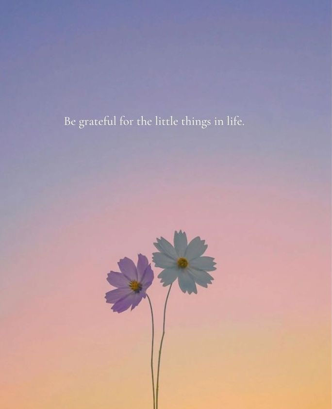 Be grateful for the little things in life .. ✨
#GoodMorningTwitterWorld 
#goodmorning 
#qoute #qoutes #qouteoftheday 
#صباح_الخيرᅠ