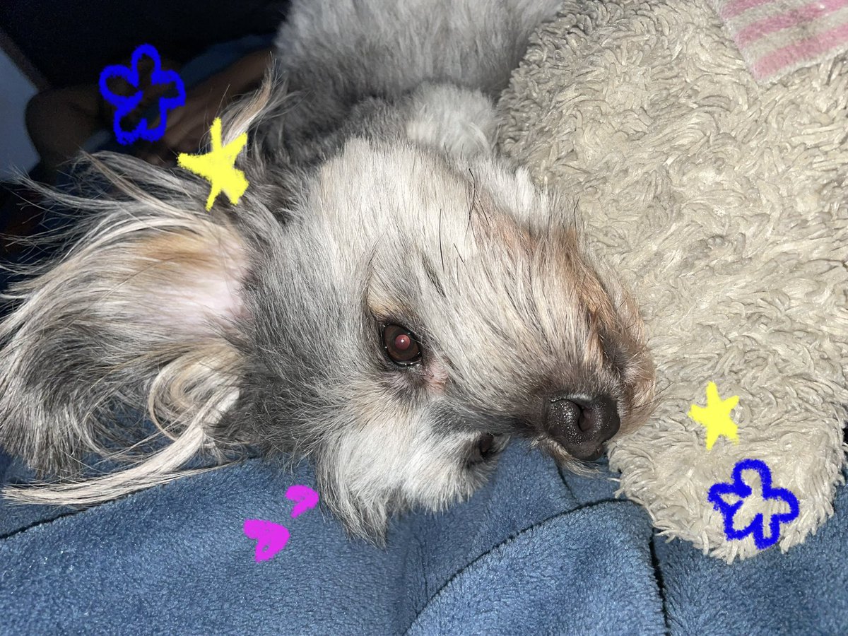 218diary's tweet photo. ␥ güdbyeee feb! ꩜ 🫂💘 https://t.co/NUcznIlenz