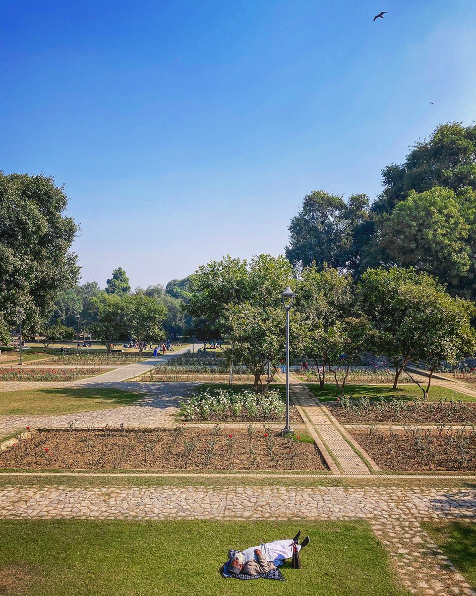 shkrmhn's tweet photo. With #February coming to an end, this is the last and final call for anyone wanting to step out and enjoy the very last moments of the #winter chill before the dreadful summers kick in.
๐ค
#sundarnursery #sundernursery #delhi @tourism_delhi #IncredibleIndia #sunnyday #dayouting https://t.co/BiuM8U9lqC