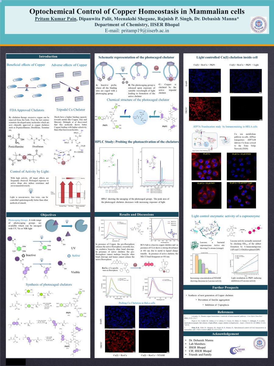 Pritamaniline's tweet photo. In this poster, we are presenting the first report of light-mediated copper chelation in mammalian cells.   #RSCPoster #RSCChembio #RSCInorg  #ChemTwitter https://t.co/njLawra5my