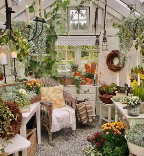 Urban Plant Home tweet media