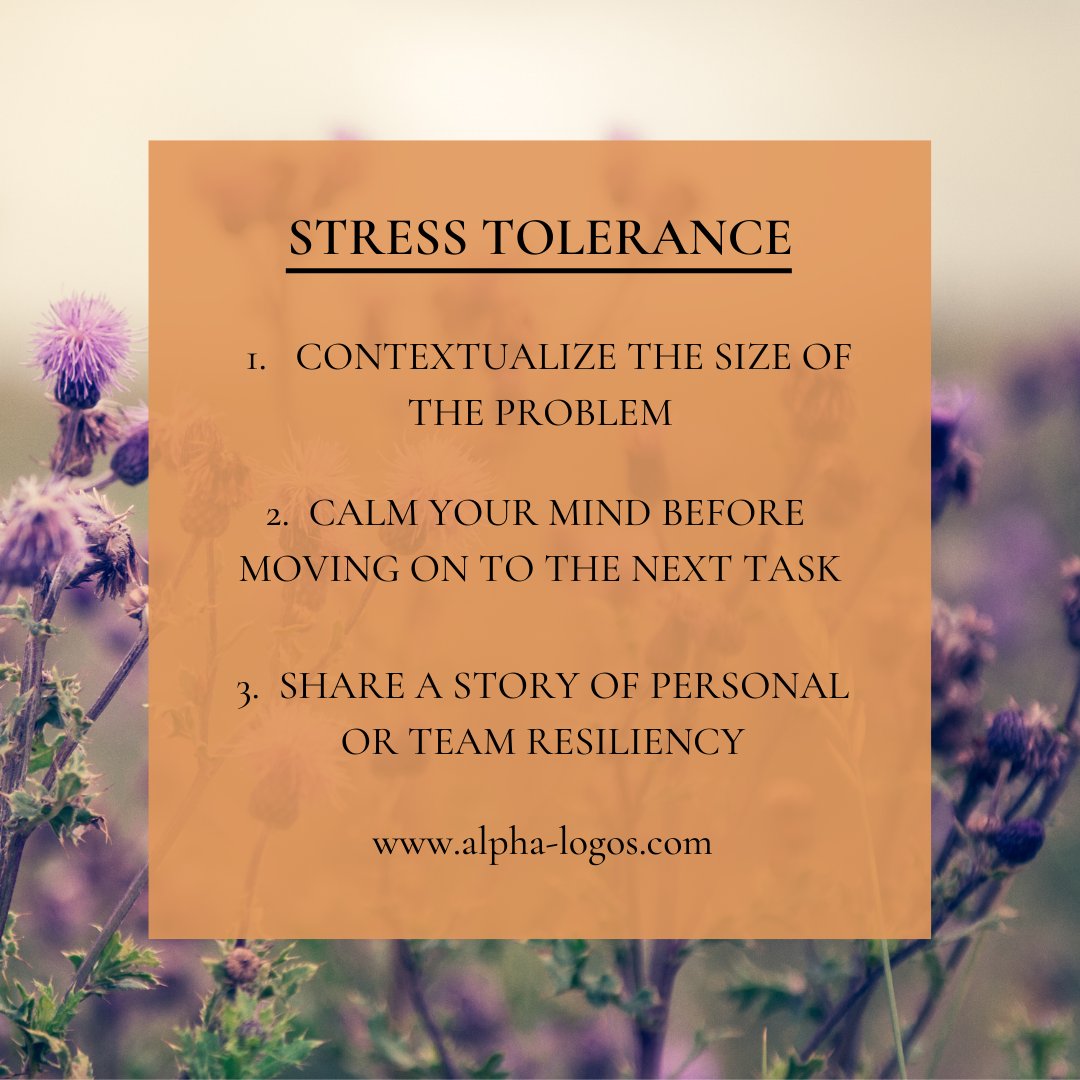 AlphaLogosCoach's tweet image. Stress Tolerance is critical to keep workplace morale alive. 
You can practice this when you:
▪️ Contextualize the size of the problem
▪️ Calm the mind before moving on to the next task
▪️ Share a story of team resiliency
Which tip has helped you the most?
#BeginwithMindset