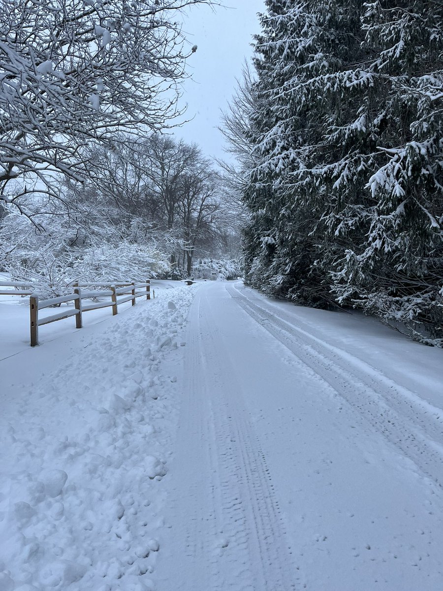 drpaulabontempi's tweet image. Hello - still here - new handle.  #URIGSO Question - just because we can pivot to zoom - should we?  Toboggan anyone?