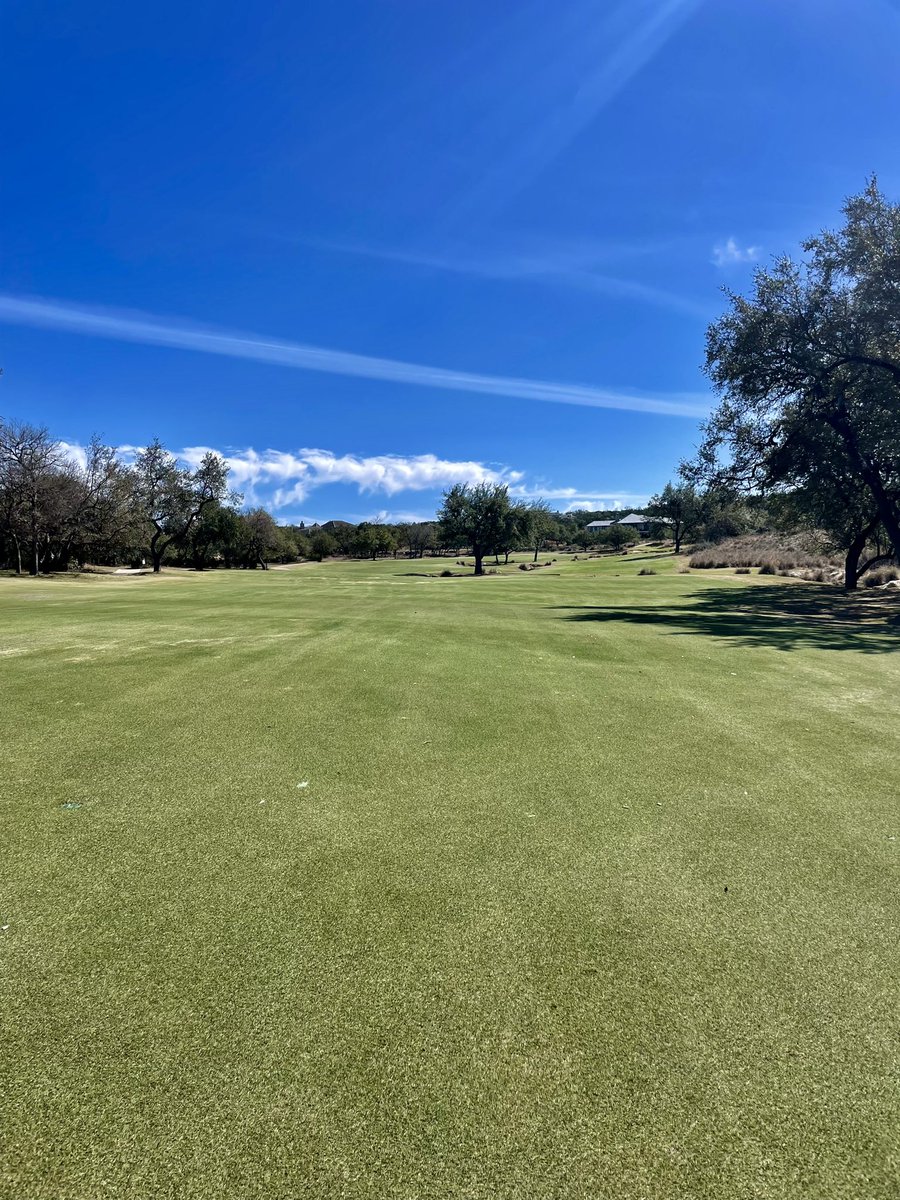 These warm days has the zoysia waking up! ☀️ ⛳️ #zeonzoysia