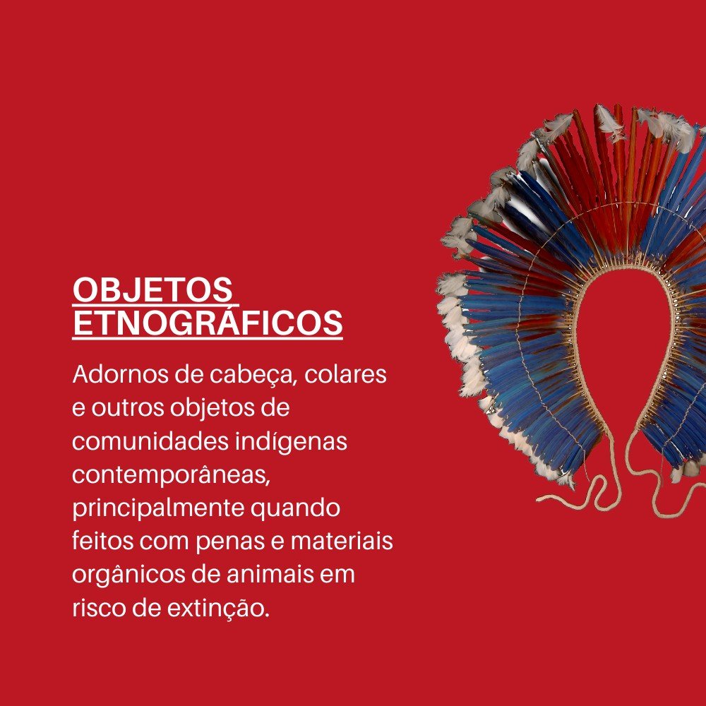 MuseuAstronomia's tweet image. #museologia #museusbr #museusbrasileiros