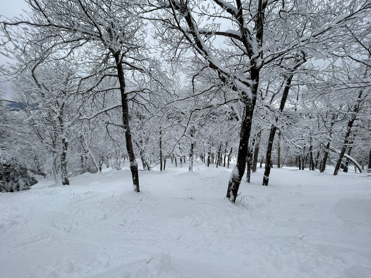 I’ve been skiing…a lot…⛷️⛷️❄️❄️