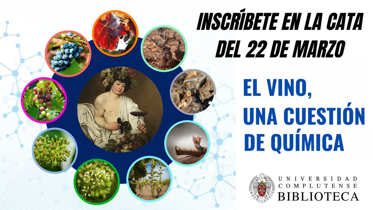 Biblioteca Complutense tweet media