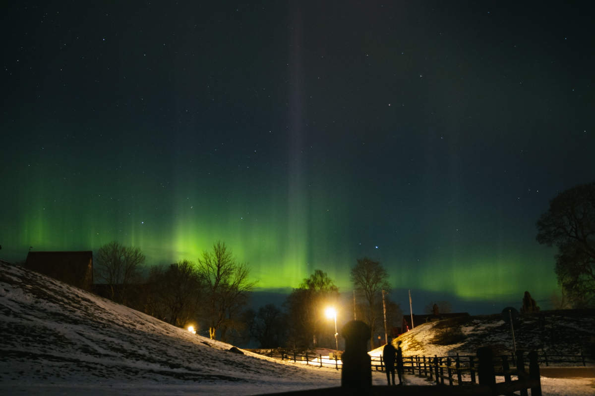 mgarbulowski's tweet photo. Northern lights in Gamla Uppsala 27-02-2023. Such a magnificent show! #NorthernLights #uppsala #Auroraborealis https://t.co/ccJMOkAIy7