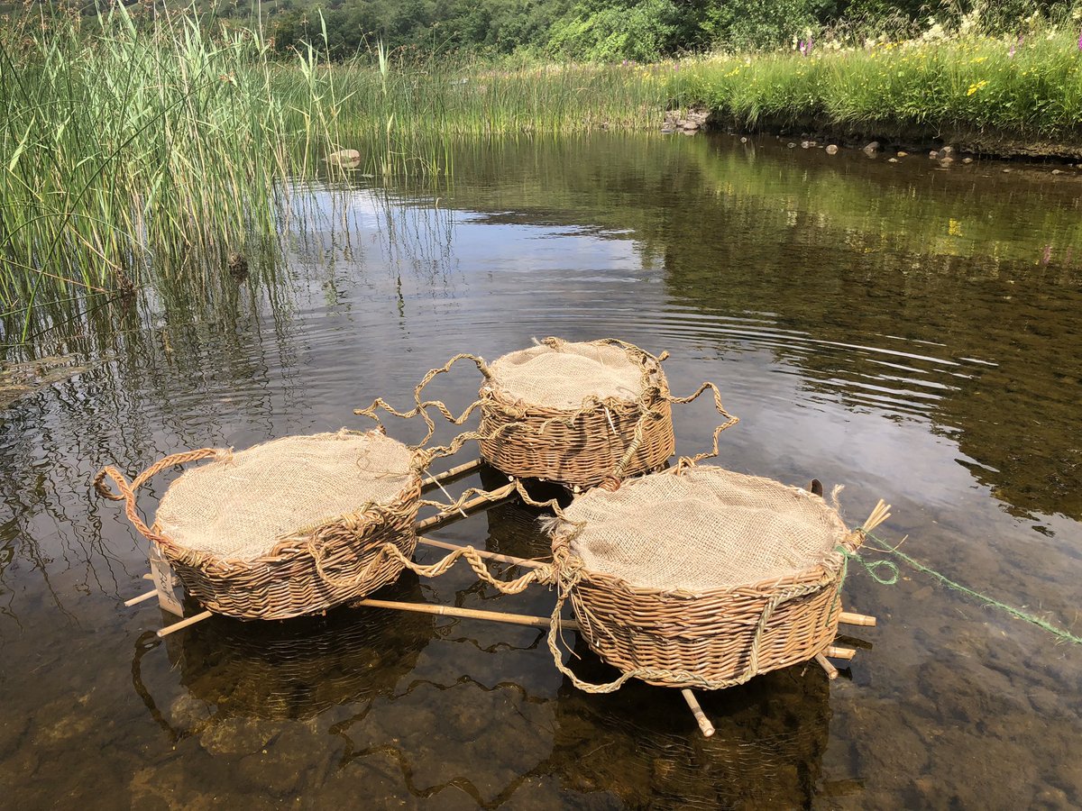 12 ARTWORKS - Installations and interventions from the Eco Showboat Shannon-Erne Expedition 2022
This anthology looks at some of the art installations and interventions created along the Shannon and Erne Rivers with music by Shahab &amp; Shayan Coohe

youtu.be/EL8QsKdKoHc