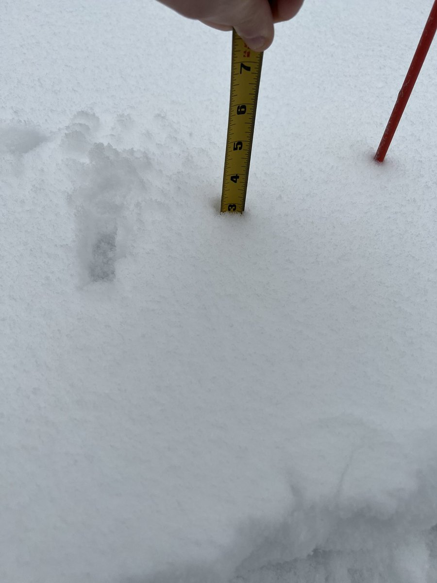Jebweather's tweet photo. Measured 2.9 inches of snow in Sutton, MA. Light snow flurries currently falling. @WX1BOX https://t.co/Y2Xbm4T2rK