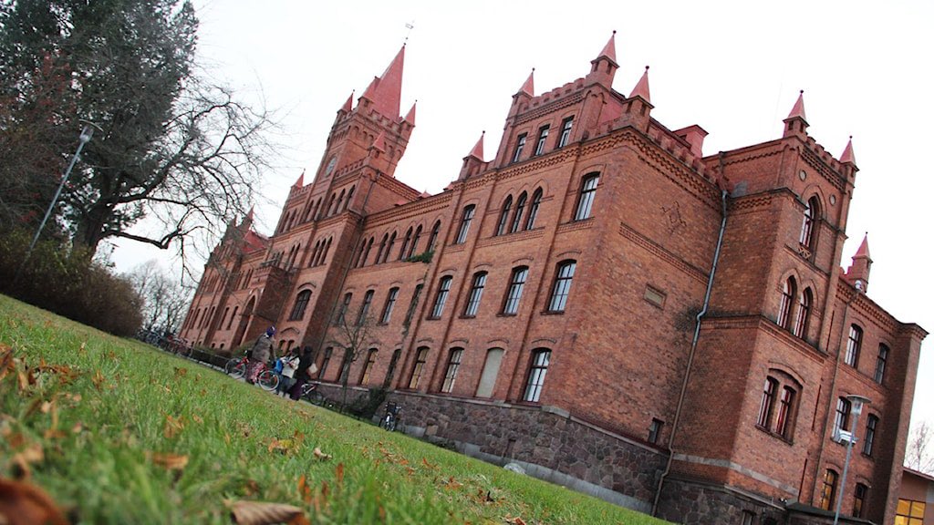 Lars Anders Johansson tweet media