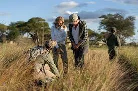 EmergDest's tweet image. One of Topguides Bush Camp&apos;s most popular activities is a Walking Safari where you can take a walk on the wild side led by Topguide&apos;s expertly trained, professional guides. 
buff.ly/3StjRri

#topguides #topguidesbushcamp #destination #Lolkisale #safari