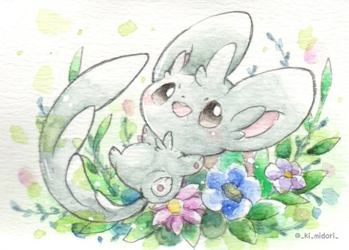 チラミおめでとうー#チラーミィの日 