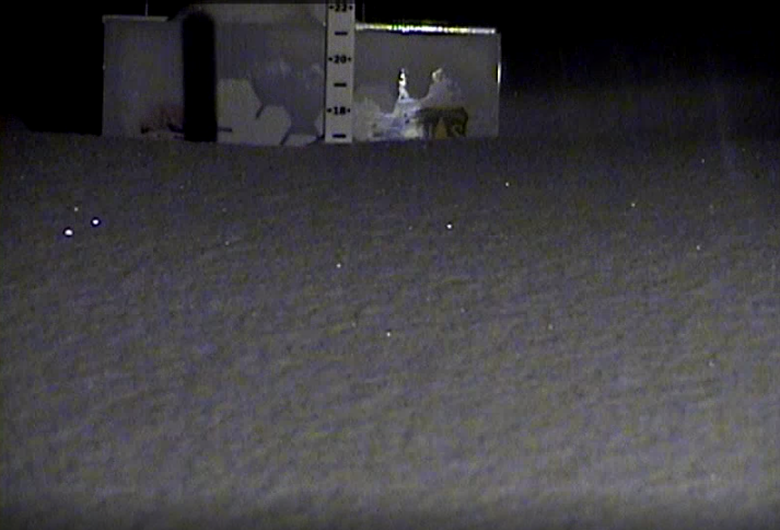 Utah Daily Snow tweet media