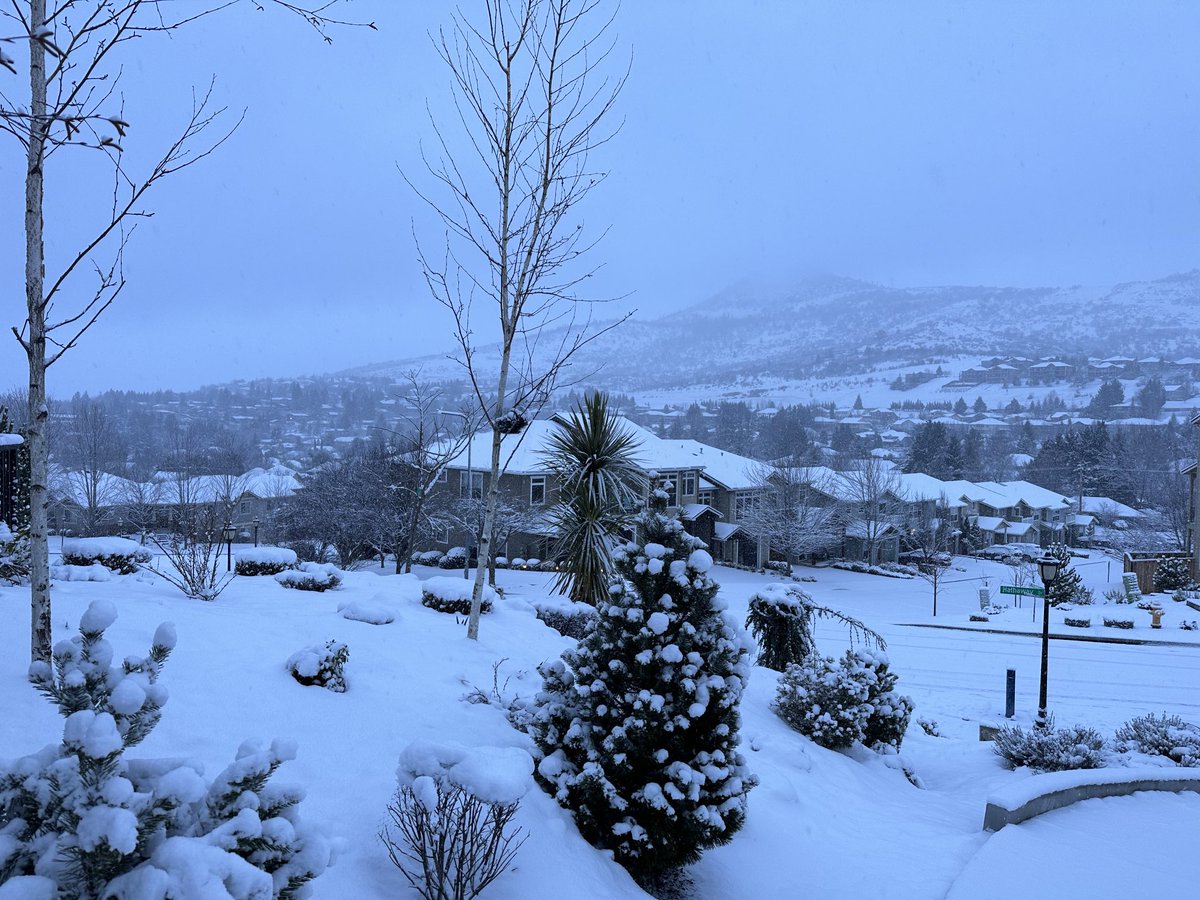 Christine Riley tweet media