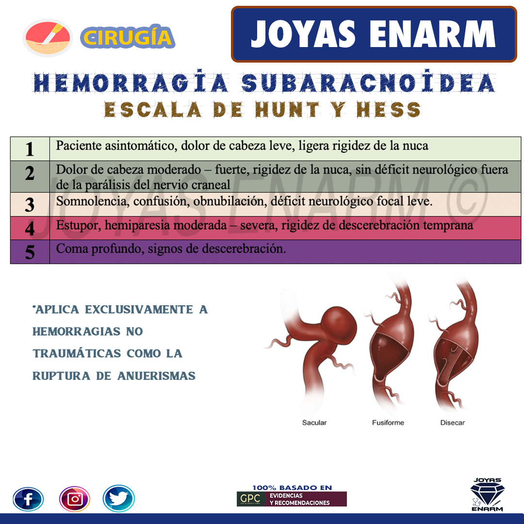 Joyas_ENARM's tweet photo. Hemorragia Subaracnoidea   #ENARM 💎

✅Encuentra el tema completo en: https://t.co/RJsORwfHxi

 Beneficios Exclusivos: https://t.co/Hs6dz9kaLi
#ENARM2023 🏆 https://t.co/lApAJJkVtD