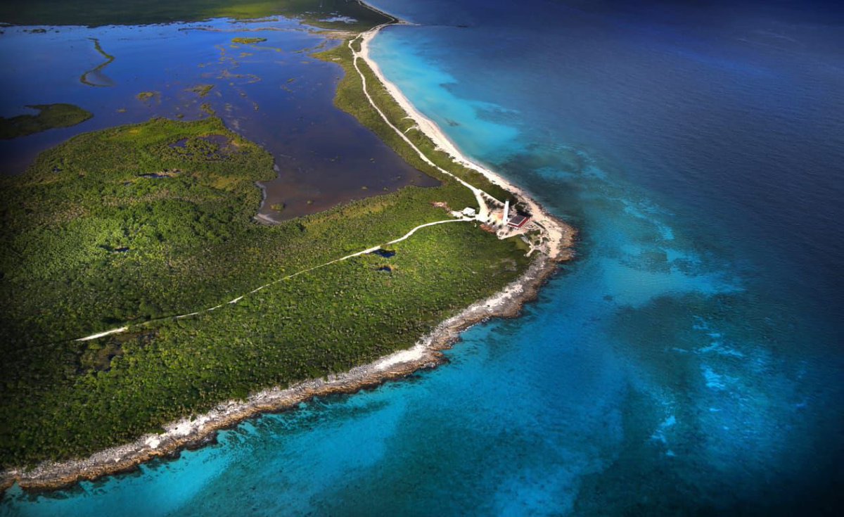 ¡Buenas noticias para #QuintanaRoo! En la semana del 18 al 24 de febrero recibimos a un total de 479 mil 258 turistas en todo el estado, demostrando que el #CaribeMexicano es el destino favorito de locales y visitantes.