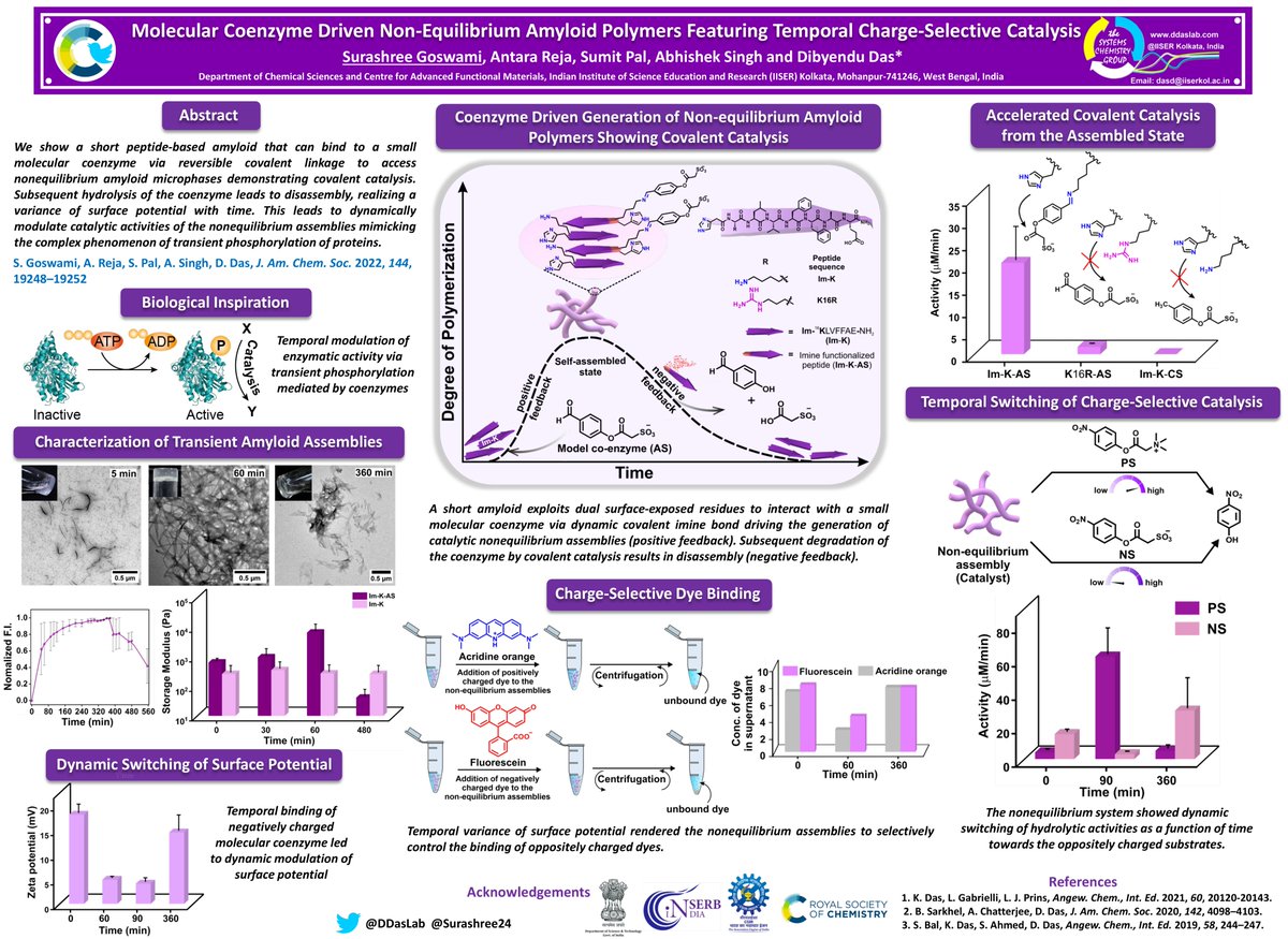 Surashree24's tweet photo. Excited to share our recent work from @DDasLab on coenzyme driven nonequilibrium amyloid assemblies demonstrating temporal control of charge-selective catalysis. Check out the comments to zoom in. #RSCPoster #RSCCat #RSCMat https://t.co/GzPrGYFCSb