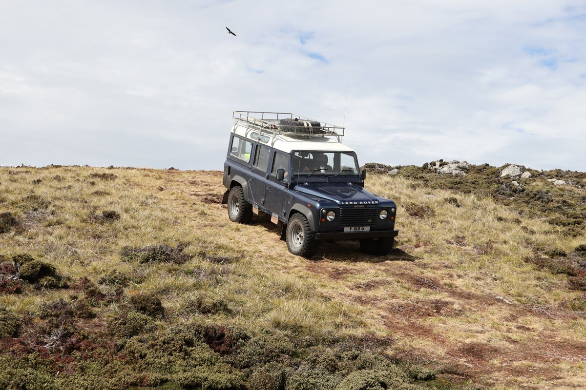 By far the best way to discover the Islands is with a local guide.

falklandislands.com/.../getting...…

#Travel #Local #Guide #Tourguides #explore #Local #Adventure #Cars #Landrover #4X4tours