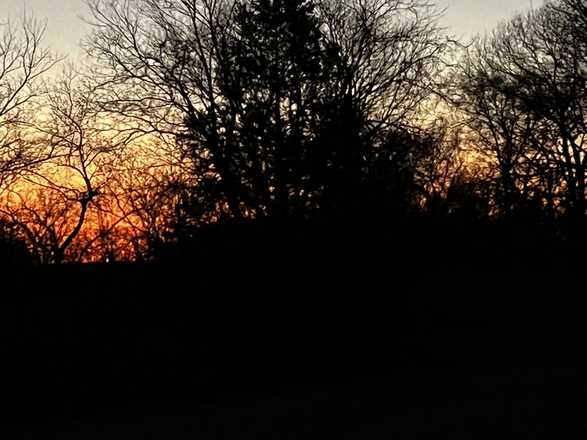 Michele Markey tweet media