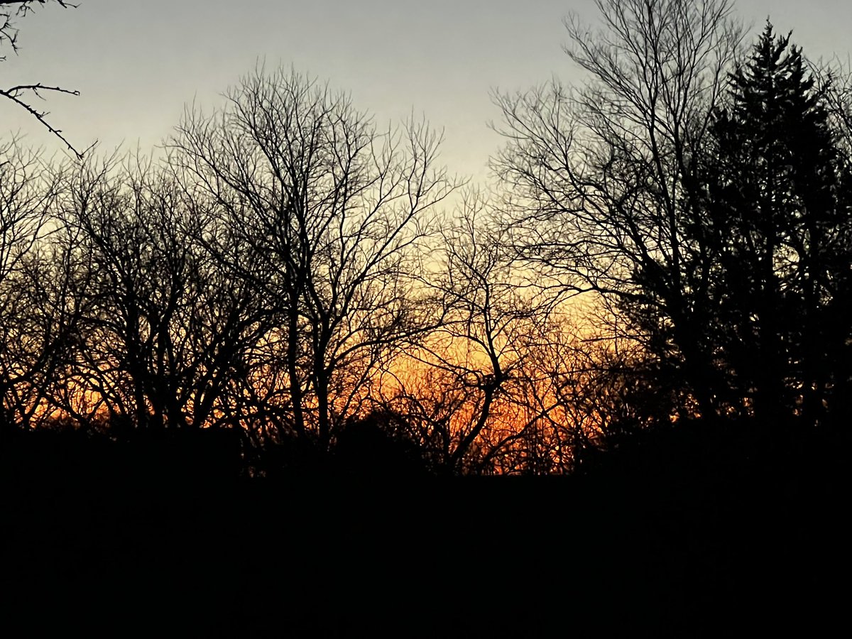 Michele Markey tweet media