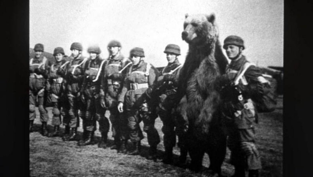 joeg3rnaut's tweet photo. Yes, 9 tickets for the Cocaine Bear pls https://t.co/Lv1plp62ud