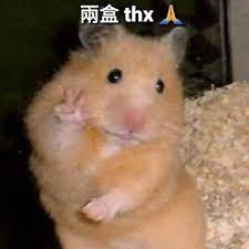 selina_cheng's tweet photo. Is this the end of an era?  A look back at some of this mask-obsessed city's mask-investigative journalism in HK... &amp; some of the weirdest moments we had. https://t.co/TmX4wWCFEh https://t.co/h9YIuh8HY7