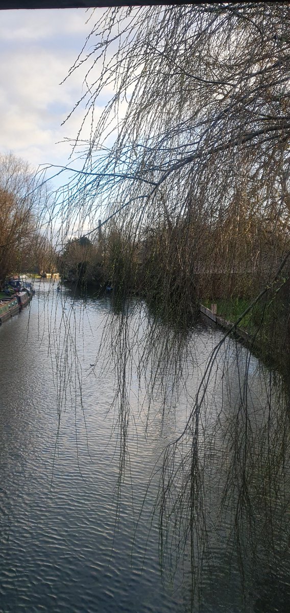 Akmal041's tweet photo. #cambridgeriver #UnitedKingdom #morning https://t.co/yU1nDyW1xm