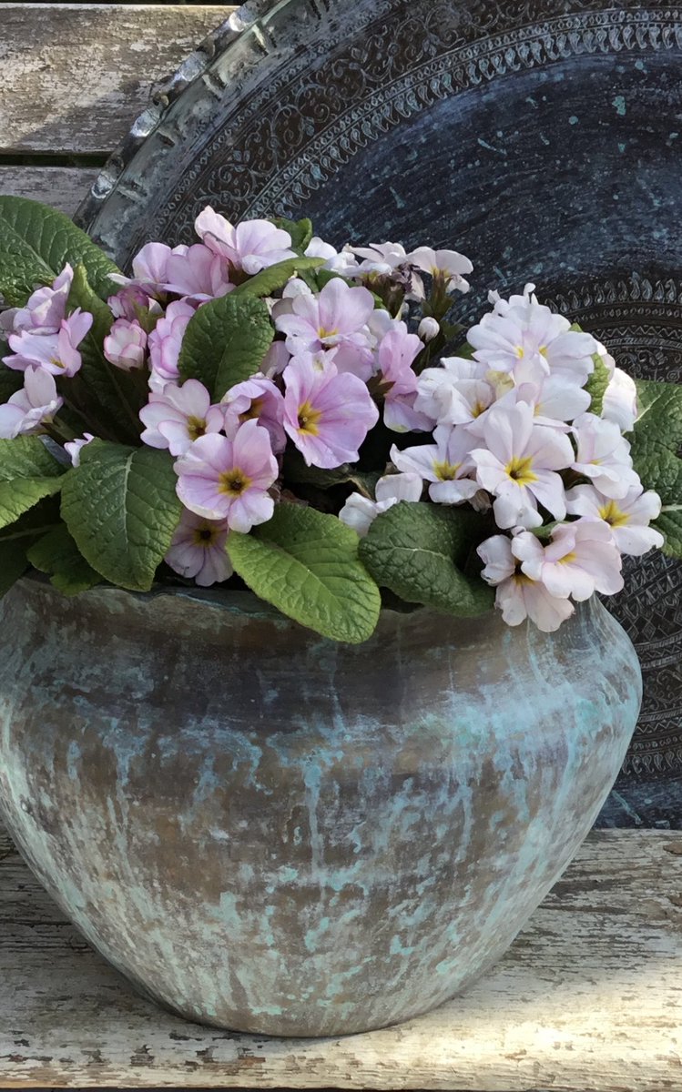 Garden Brocante tweet media
