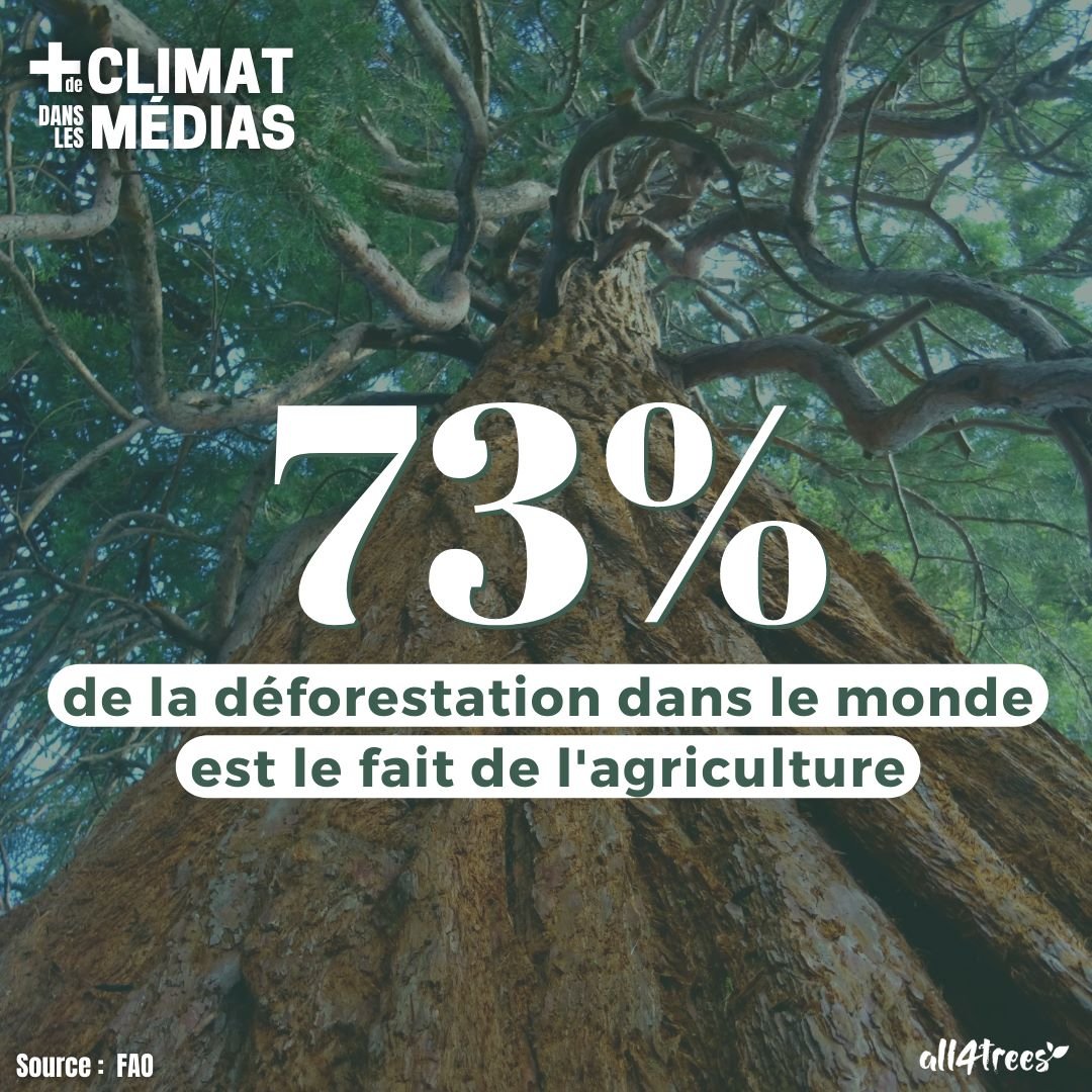 IBG12858296's tweet photo. Salon de l'agriculture oui mais les forêts sont des espaces vitaux pour les peuples autochtones qui les protègent depuis des siècles et en dépendent totalement. I @France2tv, on compte sur vous pour en parler ! #Oneforestsummit
@France2tv, on compte sur vous ! https://t.co/onoam89HhP