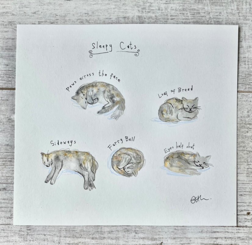 Inspire Malawi (@inspire_malawi) on Twitter photo Wow! What a special item for our Illustration Auction later this week 😻
Enormous thanks to Emily Hamilton <a href="/EmilyHDraws/">Emily Hamilton</a> who has donated this signed book 📕 and ORIGINAL ARTWORK to our auction! ✍️😻📚
Thank you, Emily, for supporting our #smallcharity 🙏 #Malawi #illustration Wow! What a special item for our Illustration Auction later this week 😻
Enormous thanks to Emily Hamilton <a href="/EmilyHDraws/">Emily Hamilton</a> who has donated this signed book 📕 and ORIGINAL ARTWORK to our auction! ✍️😻📚
Thank you, Emily, for supporting our #smallcharity 🙏 #Malawi #illustration