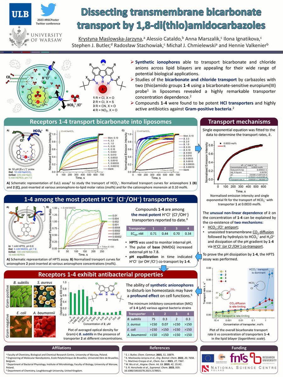 #RSCPoster 2023 #RSCInorg #RSCOrg Our molecules transport bicarbonate and HCl through the lipid bilayer. But they also have antibacterial properties! 🧫🦠 Learn more about this discovery: rsc.li/3IEfKnO. @AlessioCataldo5 @Steve_JButler @chmielewski_lab @HennieValkenier