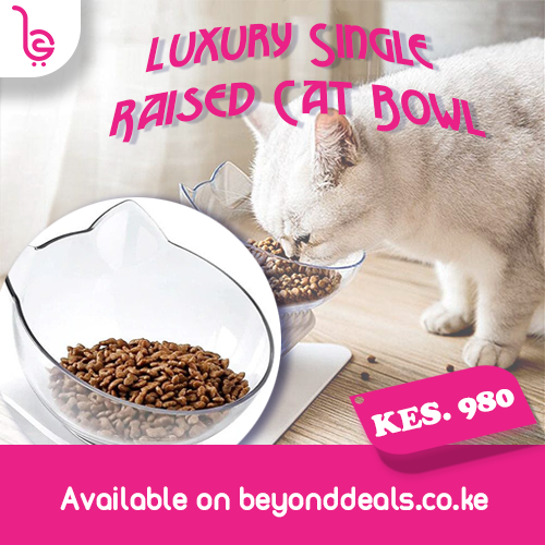 beyonddealske's tweet photo. You can get one of this raised cat bowls from https://t.co/qyj84L735G for Kshs.980/= only. We also have this item being sold as a duo but for a different price. Find it, Love it, Buy it.
#beyonddealske #beyonddeals #cats #pets #catfeed #dealsforyou #discounts #offer #sale https://t.co/jxa1vb5rCV