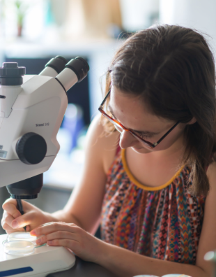 Découvrez le portrait de Elise Cheynet @elisecyt, récemment diplômée promo bio18, maintenant en 1e année de thèse à Lyon dans l'équipe @boulin_lab  🪱  💜🔬 #BioENSAlumni
👉 ens.psl.eu/en-biologie-l-…