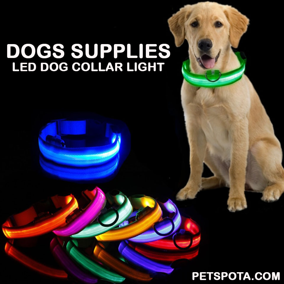 petspota's tweet photo. Led Dog Collar Light Anti-lost Collar For Dogs Puppies Night Luminous With USB Charging/Battery.

Check for more on our Website.

#dogsupplies #dogcollarled #colorlights #doglifestyle #USB #petproducts #charing #dog #petshop #pet #petaccessories #doggrooming #Battery #petspota https://t.co/CeTEeZSyQn