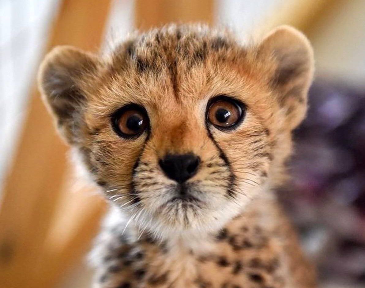 🗒️ گزارش روز

نمایش تمام شد.
#پیروز