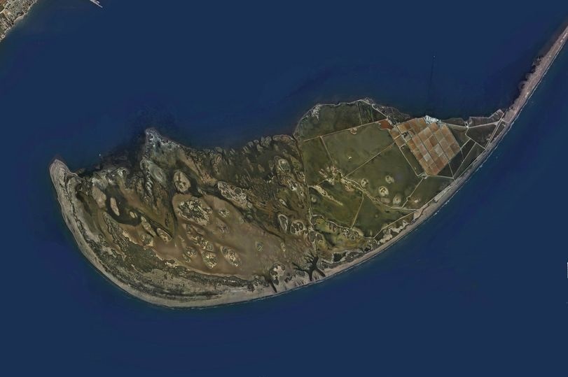 IGNSpain's tweet image. 🧐 ¿Qué lugar aparece en esta imagen del #PNOA del año 2009 a escala 1:50.000❓

¿#SabíasQue en nuestra #FototecaDigital puedes consultar este ✈️vuelo, así como otros, y solicitar 🔖certificados de fotogramas?

👉 fototeca.cnig.es

¡Visítala! 😃 

#IGNSpain #CNIG @mitmagob