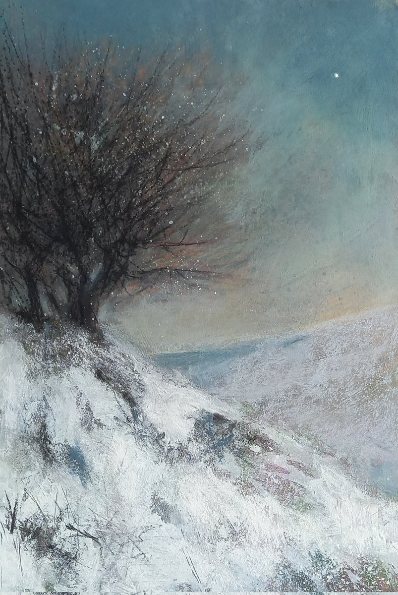 WallisKing's tweet photo. #charcoal #pastel #acrylic #drawing #pastelpainting #pastelstudy #hawthorn #snow #star #smallworks https://t.co/oeN8v4cxKY