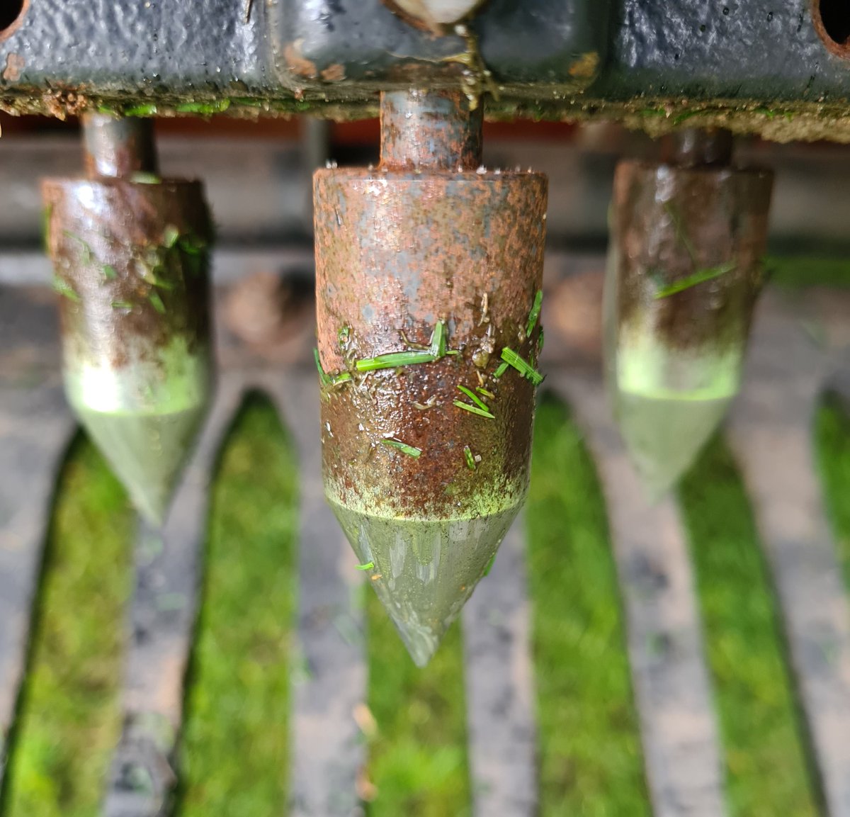 LoganTurf's tweet image. As we are approaching the time to get seed in the ground we have you covered, whether it's pot seeding or disc seeding we have a solution, these specifically designed pot seeding tines are perfect for Bowling greens and golf greens, and the Vredo covers all aspects of sports turf