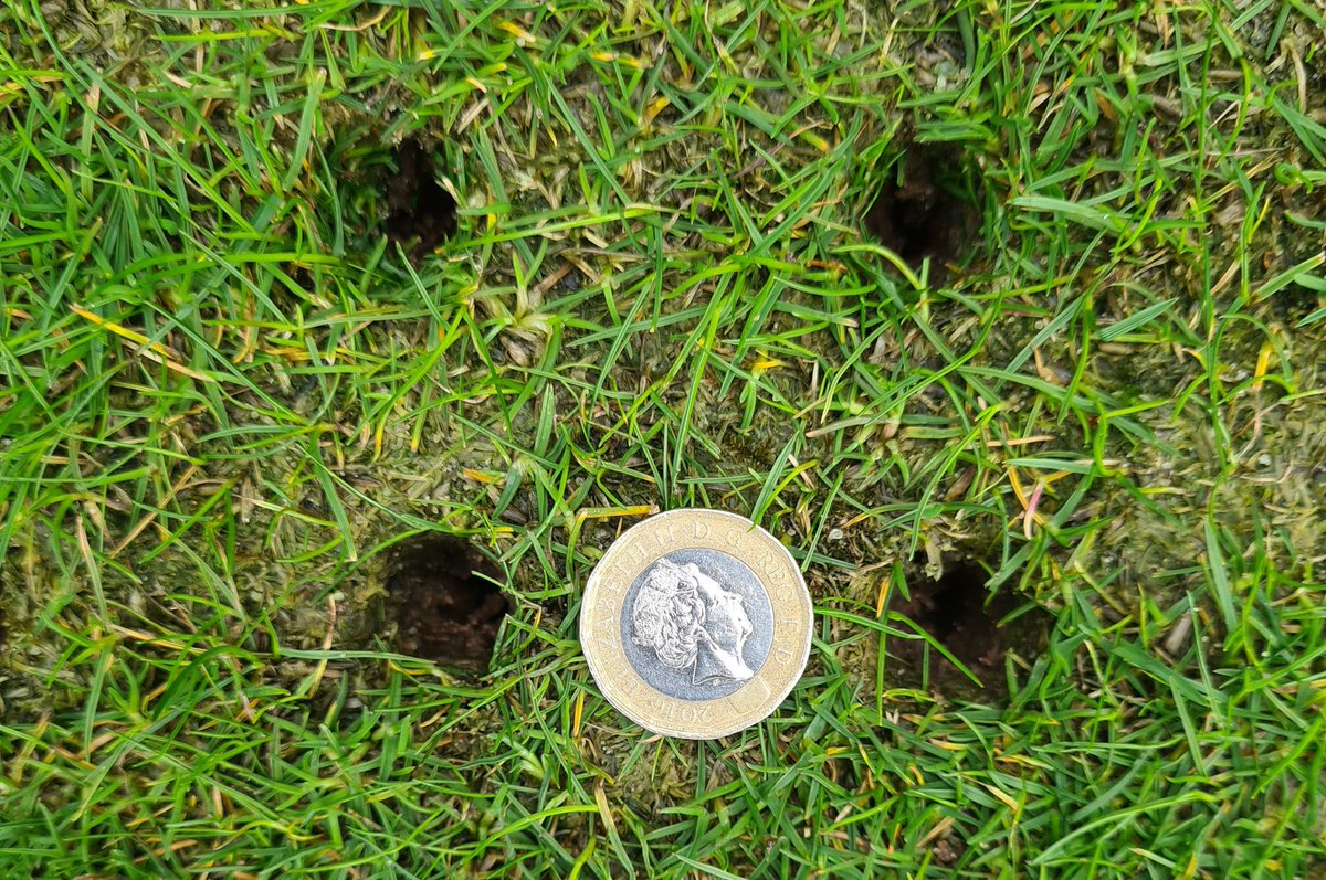 LoganTurf's tweet image. As we are approaching the time to get seed in the ground we have you covered, whether it's pot seeding or disc seeding we have a solution, these specifically designed pot seeding tines are perfect for Bowling greens and golf greens, and the Vredo covers all aspects of sports turf