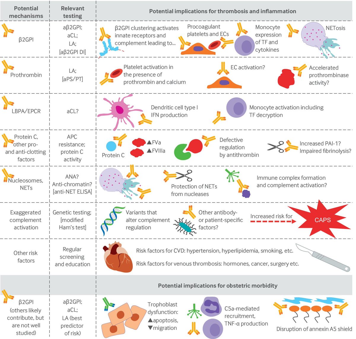 State of the Art Review, via <a href="/bmj_latest/">The BMJ</a>
Antiphospholipid syndrome: advances in diagnosis, pathogenesis, and management 🧑🏽‍⚕️🔬📈
bmj.com/content/380/bm…